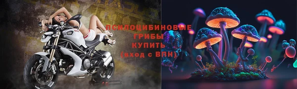 ECSTASY Дмитриев