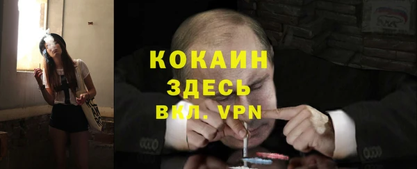 соль курить ск Дмитров