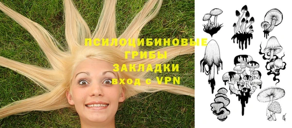соль курить ск Осинники