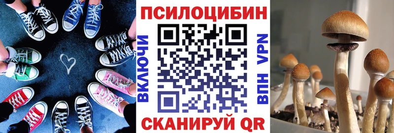 закладка  Отрадный  Галлюциногенные грибы MAGIC MUSHROOMS 